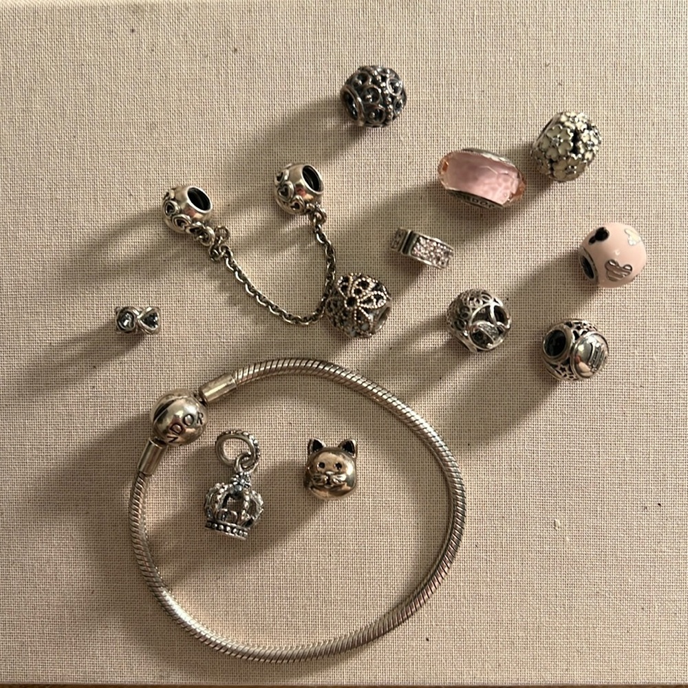Pandora bracelet with assorted charms